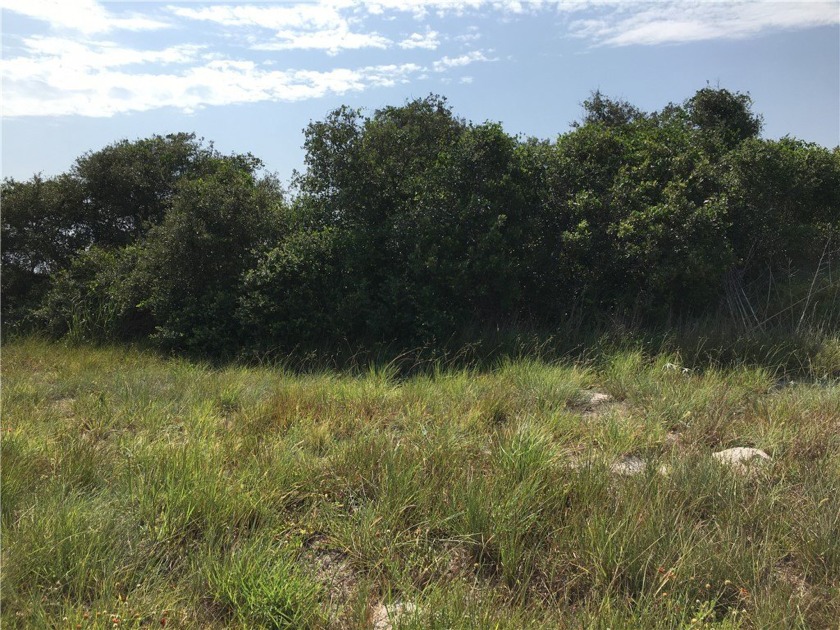 This listing is for 2 acres out of a 4.84 tract of land that - Beach Acreage for sale in Aransas Pass, Texas on Beachhouse.com
