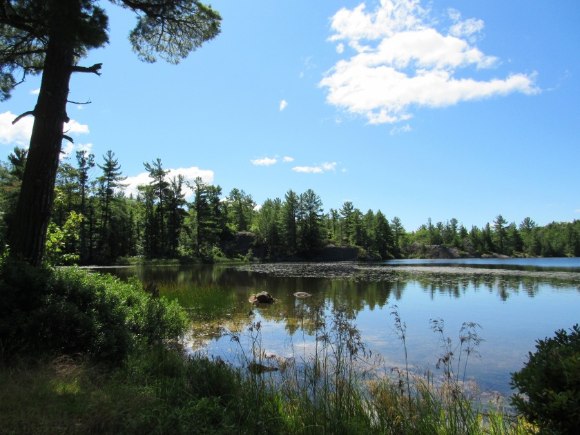 Looking for some property in big buck country while owning - Beach Acreage for sale in Big Bay, Michigan on Beachhouse.com