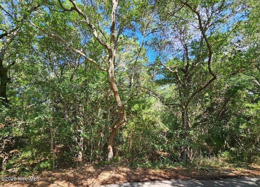 One of Bald Head's nicest golf course homesites. Large homesite - Beach Lot for sale in Bald Head Island, North Carolina on Beachhouse.com