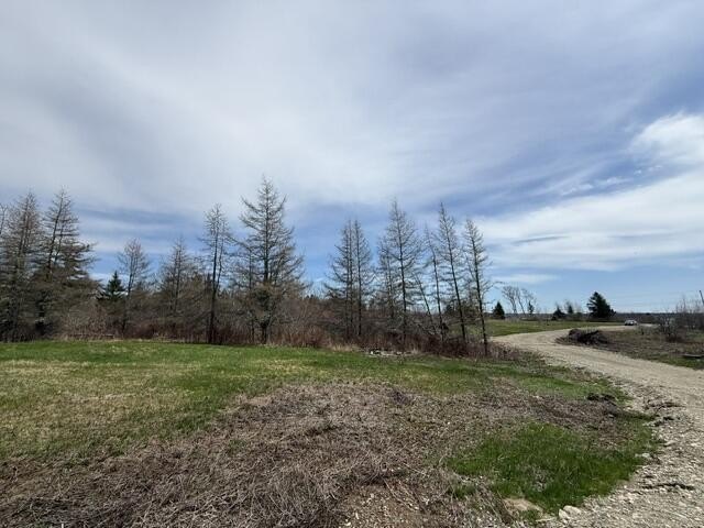 This open field and partially forested elevated lot is sure to - Beach Lot for sale in Whiting, Maine on Beachhouse.com