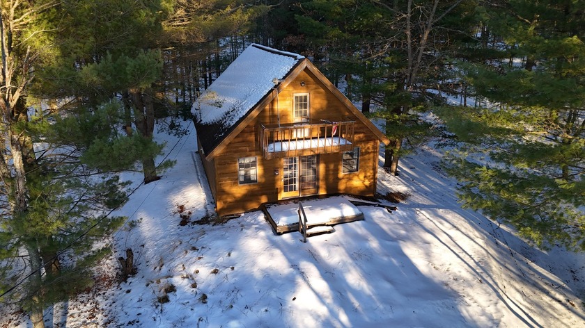Turn key cabin on the Big Sable River! This charming two bedroom - Beach Home for sale in Free Soil, Michigan on Beachhouse.com