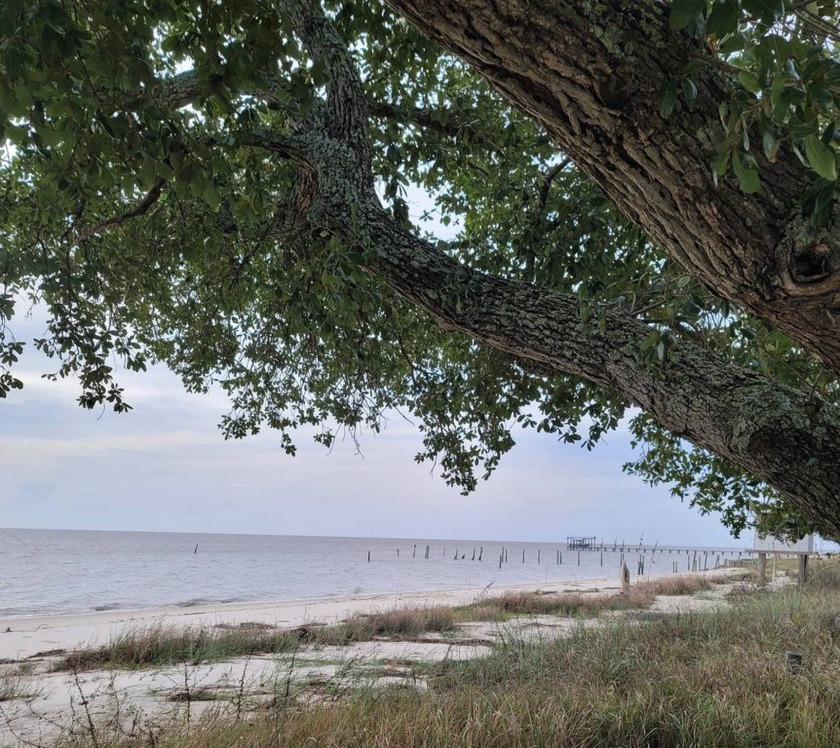 Sandy Beachfront. Build your Dream home. Claim your little piece - Beach Lot for sale in Ocean Springs, Mississippi on Beachhouse.com