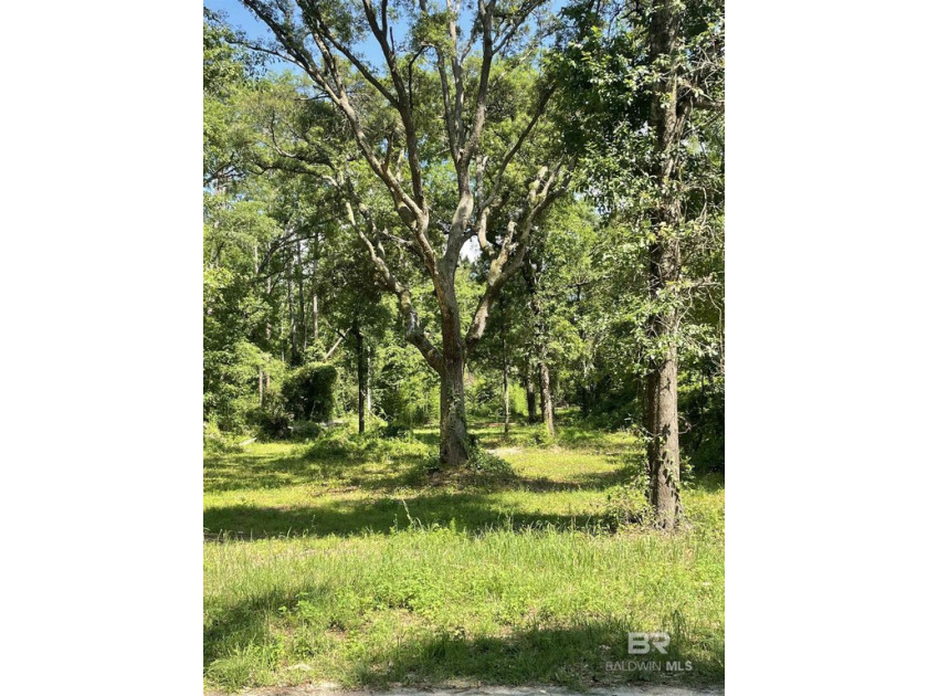 This beautiful WATERFRONT 1.76 acre lot that is ready for you to - Beach Lot for sale in Silverhill, Alabama on Beachhouse.com