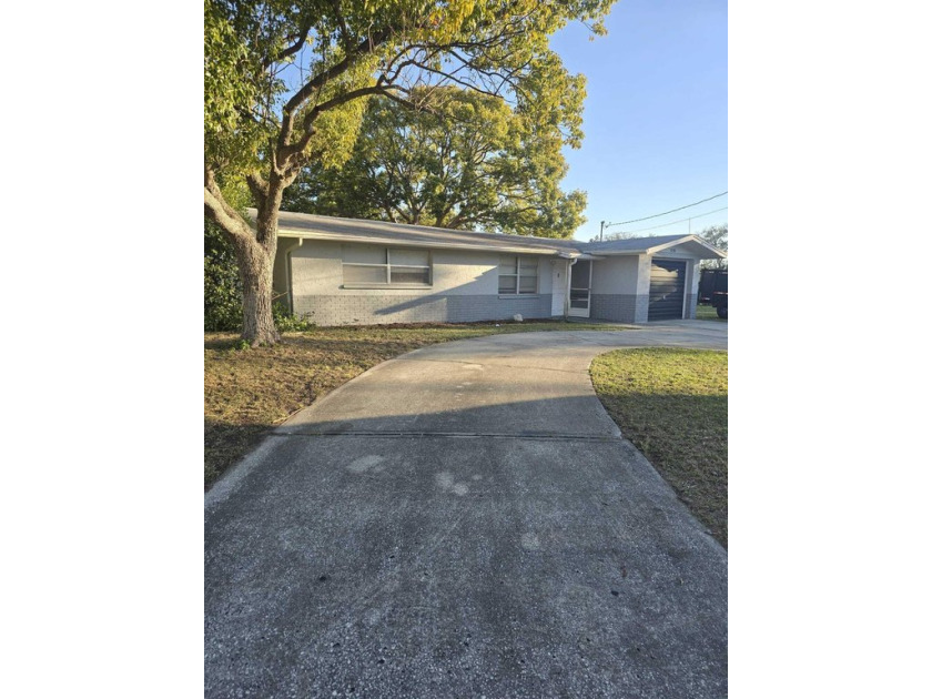OWNER FINANCING ONLY WITH 20% DOWN! DIRECT OCEAN ACCESS just - Beach Home for sale in New Port Richey, Florida on Beachhouse.com