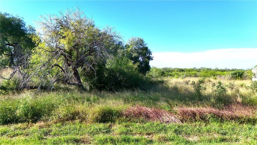 Peaceful country living near Baffin Bay! Spacious lot on FM 771 - Beach Acreage for sale in Riviera, Texas on Beachhouse.com