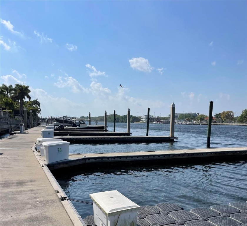 Here is your unique opportunity to own a deepwater, concrete - Beach Home for sale in Tampa, Florida on Beachhouse.com