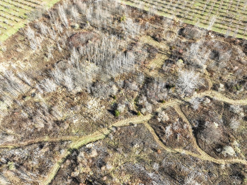 Currently thick and brushy, this dry and generally flat property - Beach Acreage for sale in Covert, Michigan on Beachhouse.com