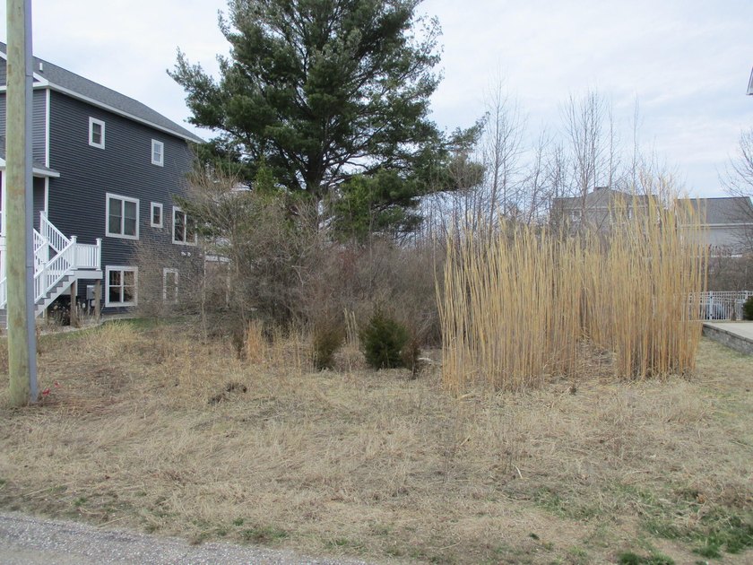 Build your dream home and experience the magic of Lake Michigan - Beach Lot for sale in South Haven, Michigan on Beachhouse.com