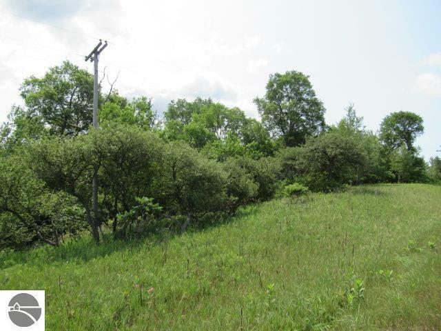 Excellent Hunting Acreage! 76 acres with proven deer, bear and - Beach Acreage for sale in Bear Lake, Michigan on Beachhouse.com