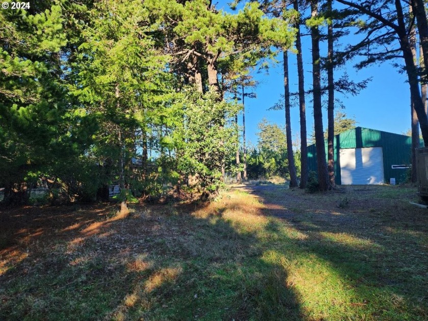 Prime Coastal Property: Ready for Your Vision! Nestled in a - Beach Lot for sale in Port Orford, Oregon on Beachhouse.com