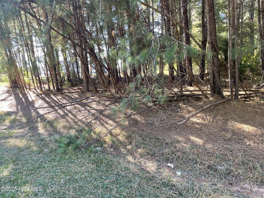 Don't Miss this Great Water Front wooded lot in the great - Beach Acreage for sale in Hertford, North Carolina on Beachhouse.com