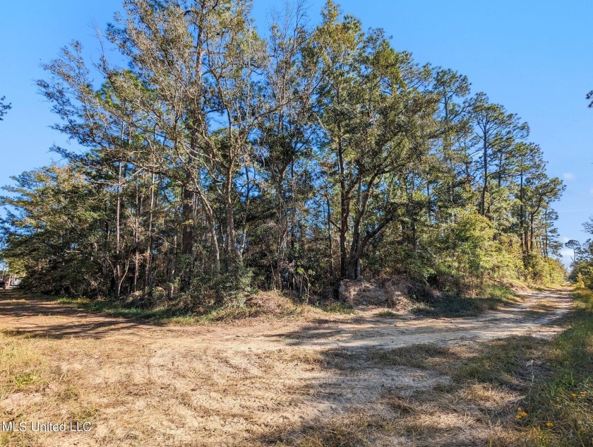 Don't let this exceptional investment opportunity pass you by! - Beach Lot for sale in Waveland, Mississippi on Beachhouse.com
