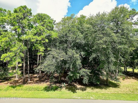 Waterfront Community! Beautiful wooded lot located on a pond in - Beach Lot for sale in Supply, North Carolina on Beachhouse.com