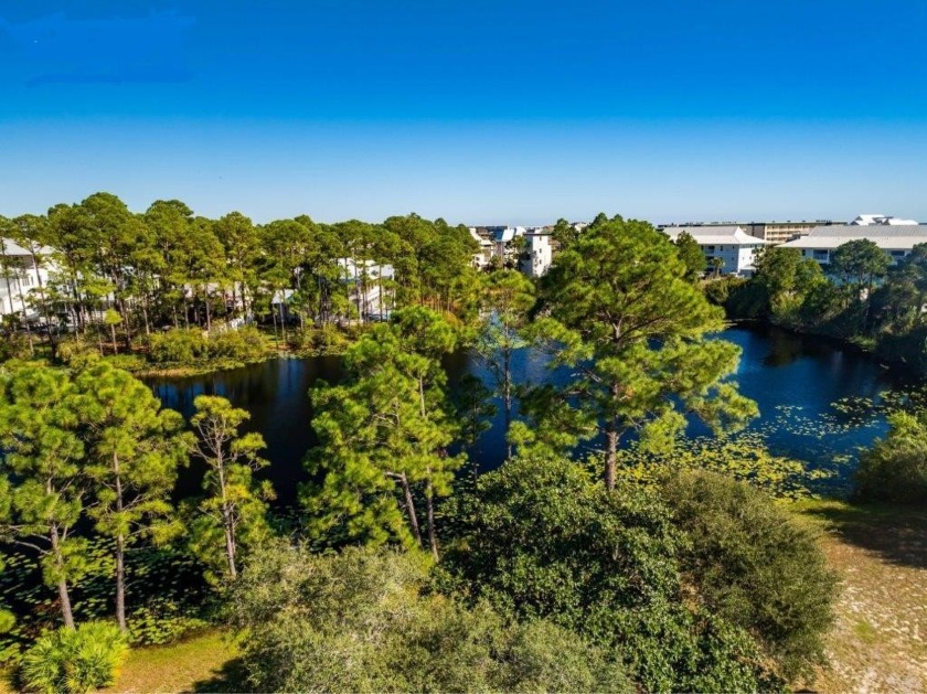 You will find 211 Lakeview in Old Seagrove that special place - Beach Lot for sale in Santa Rosa Beach, Florida on Beachhouse.com