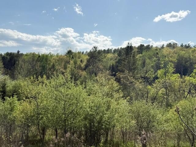 This undeveloped parcel offers 22+ acres of land featuring both - Beach Acreage for sale in Orland, Maine on Beachhouse.com