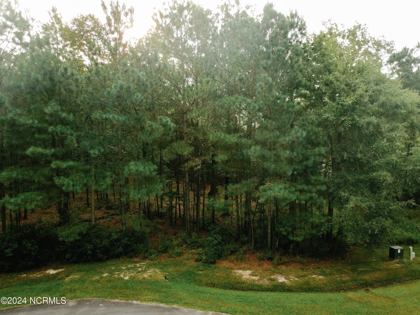 Fantastic opportunity to own a large piece of waterfront land in - Beach Lot for sale in Belhaven, North Carolina on Beachhouse.com