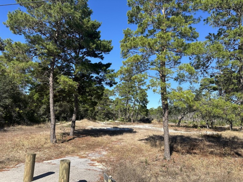 A rare find!'This quarter acre homesite delivers big on spacious - Beach Lot for sale in Santa Rosa Beach, Florida on Beachhouse.com