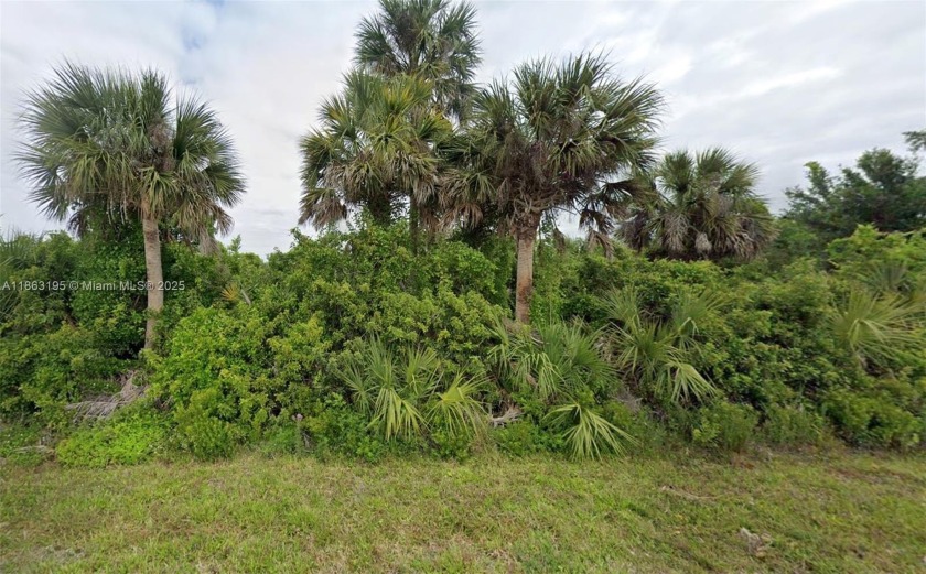 Package Deal!! Are you looking to invest in the thriving Florida - Beach Lot for sale in Port Charlotte, Florida on Beachhouse.com