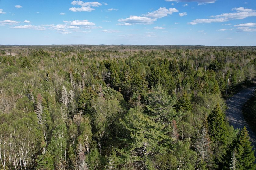 This 42-acre wooded parcel of raw land is priced to sell and - Beach Acreage for sale in Whiting, Maine on Beachhouse.com