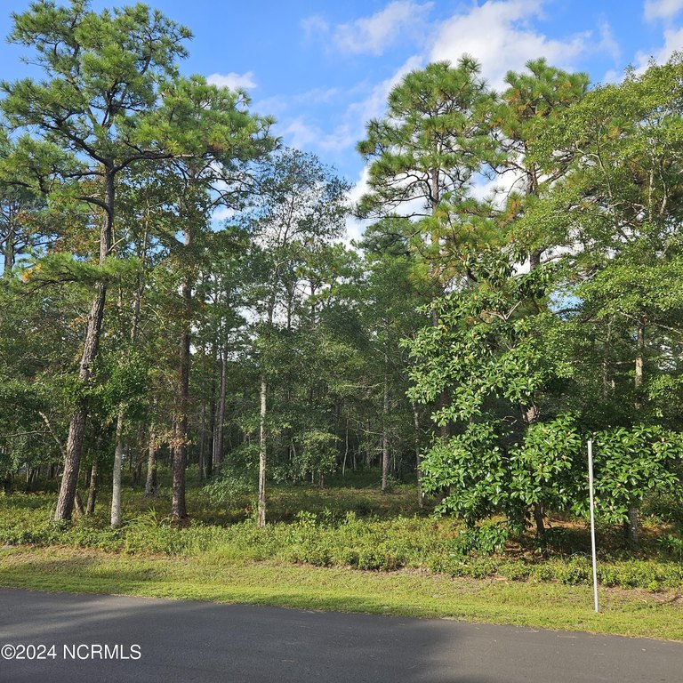 Rare  Unique nearly  3/4  of an Acre with a magnificent Tree - Beach Lot for sale in Carolina Shores, North Carolina on Beachhouse.com