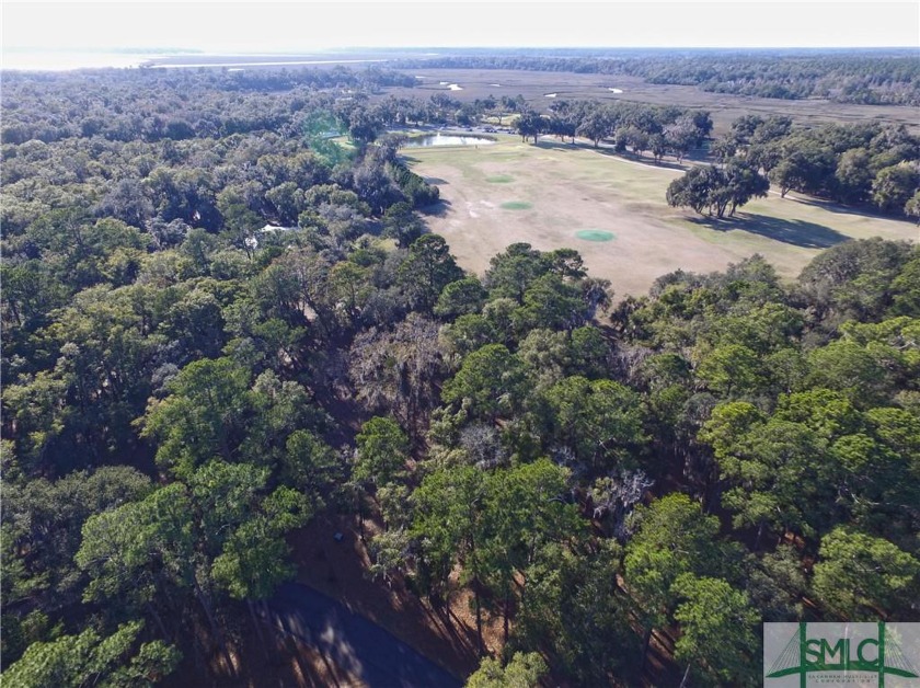 Beautiful, wooded .75 acre lot sits near main gate & waiting for - Beach Lot for sale in Townsend, Georgia on Beachhouse.com