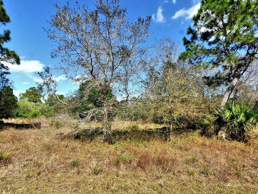 Opportunity to build on this .24-acre lot.  Not in a flood zone - Beach Lot for sale in North Port, Florida on Beachhouse.com
