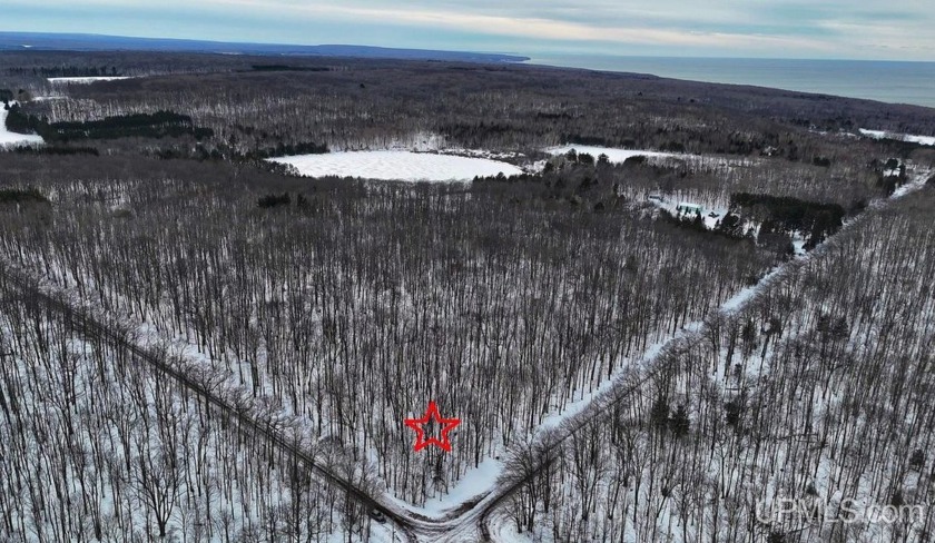 Pristine wooded acreage near Houghton and Lake Superior! - Beach Acreage for sale in Houghton, Michigan on Beachhouse.com