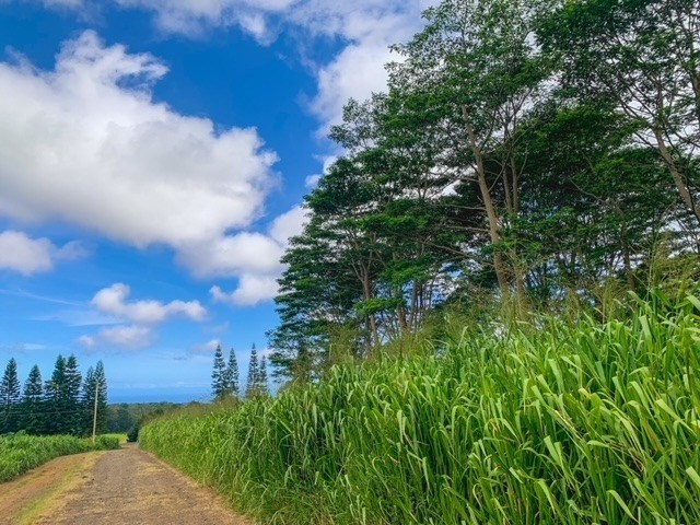 Looking for some peace and quiet or an escape from the busy life - Beach Acreage for sale in Pahala, Hawaii on Beachhouse.com