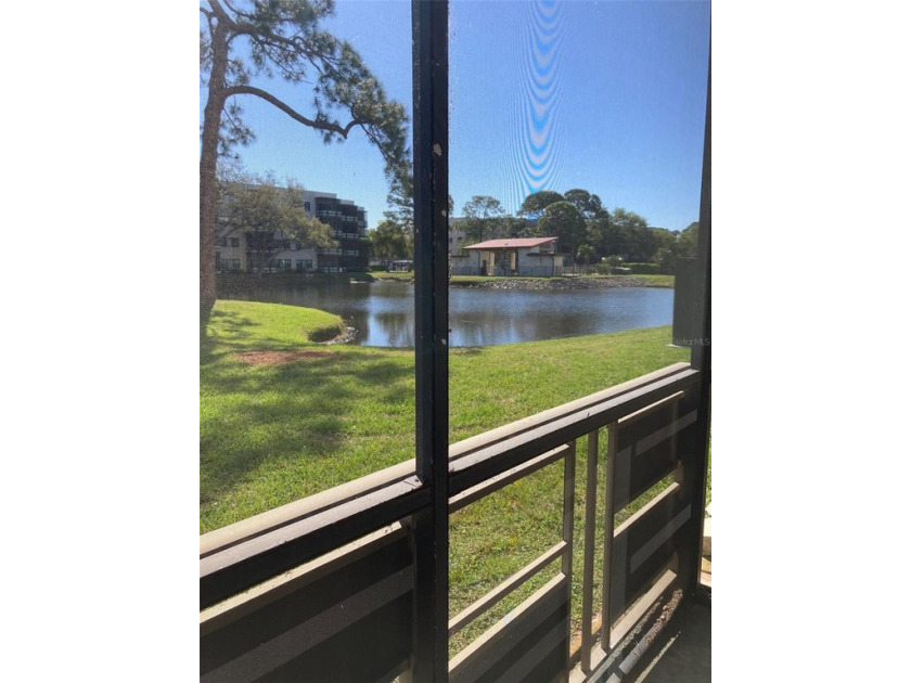 Fabulous find on the ground floor in the Newport building.  Pond - Beach Condo for sale in St. Petersburg, Florida on Beachhouse.com