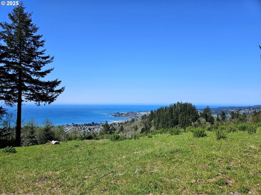 Stunning Oceanview Acreage - No CC&Rs, No HOA!Travel along a - Beach Lot for sale in Brookings, Oregon on Beachhouse.com