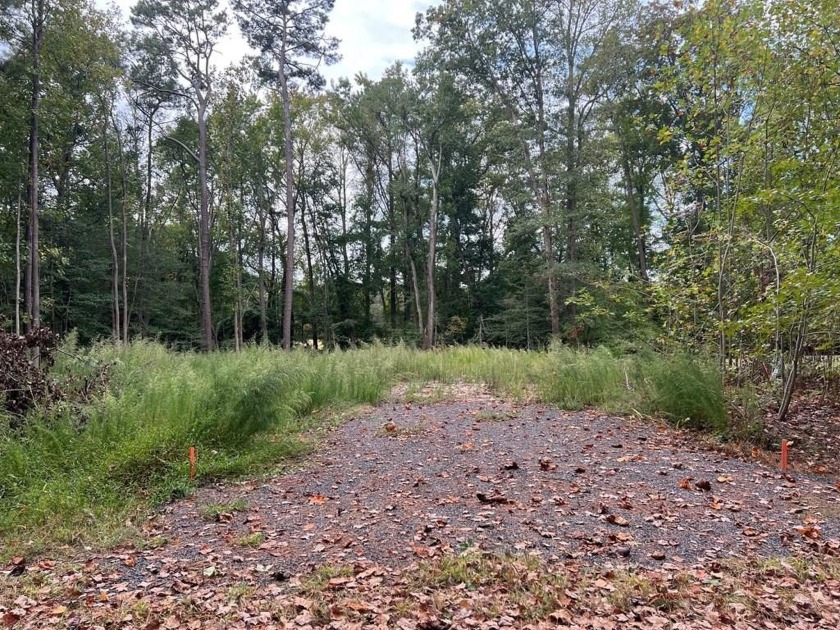 Check out this LARGE lot that is all ready to be built on! This - Beach Lot for sale in Greenbackville, Virginia on Beachhouse.com