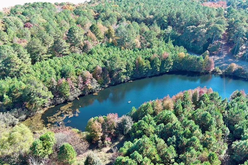 Discover your own piece of natural paradise with this beautiful - Beach Acreage for sale in Parksley, Virginia on Beachhouse.com