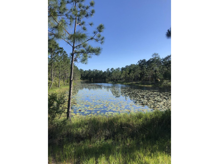 Single Family Residence home site located with a small pond on - Beach Lot for sale in Panama City Beach, Florida on Beachhouse.com