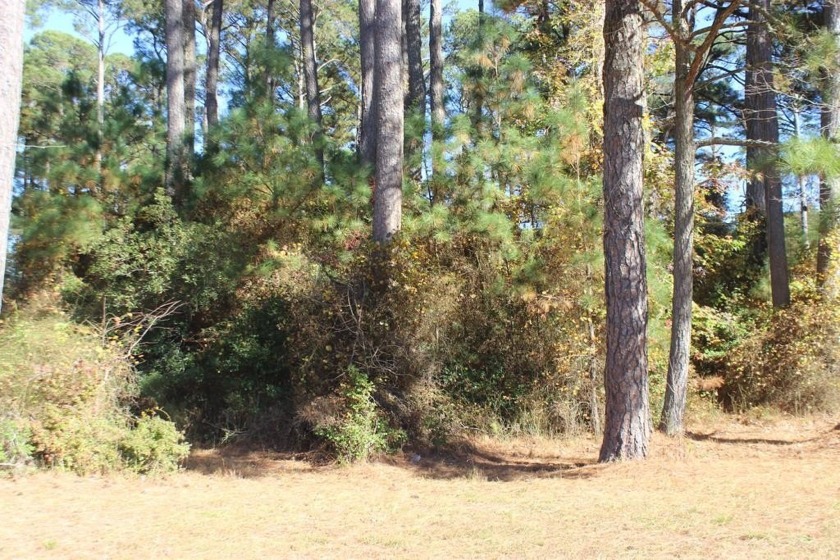 1/1140  Corner, Level, wooded lot (10452 sq ft) with water & - Beach Lot for sale in Greenbackville, Virginia on Beachhouse.com