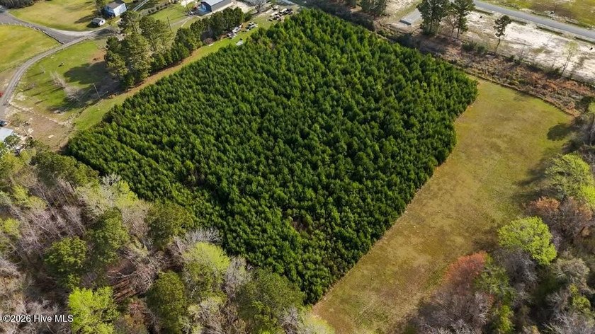 Looking for some privacy? You have found it. 8 Acres tucked away - Beach Acreage for sale in Hubert, North Carolina on Beachhouse.com