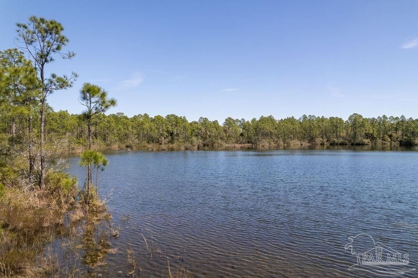 Discover the perfect blend of privacy, space, and natural beauty - Beach Acreage for sale in Pensacola, Florida on Beachhouse.com