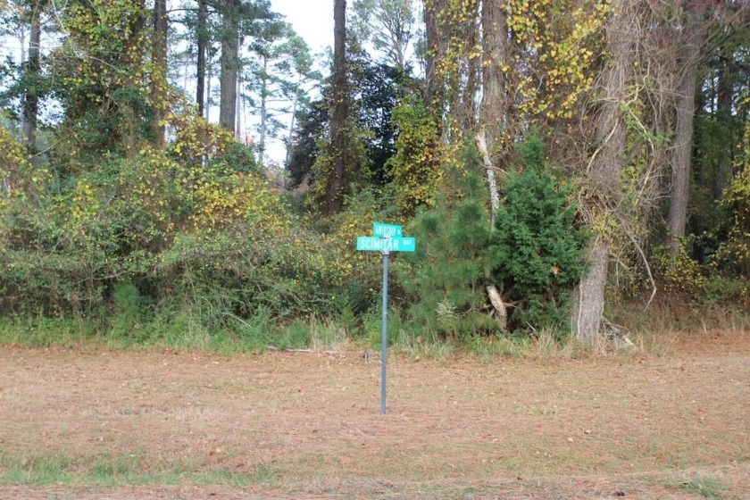 1/1166  Corner, Level, wooded lot (9,695 sq ft) with water & - Beach Lot for sale in Greenbackville, Virginia on Beachhouse.com