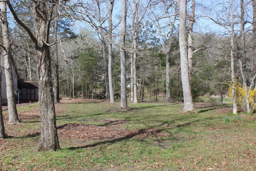 4/1862 Does sitting on you back deck or gazebo looking out over - Beach Lot for sale in Greenbackville, Virginia on Beachhouse.com