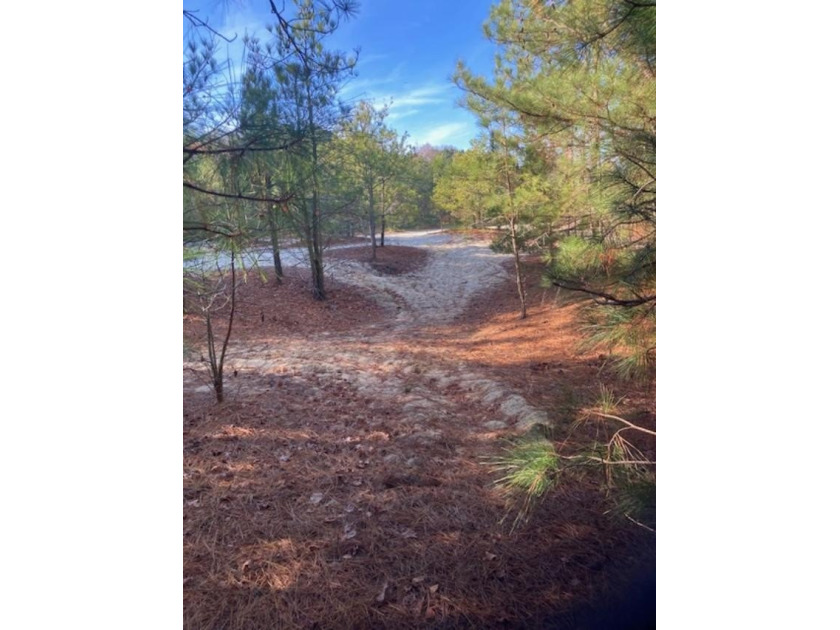 Neck of the Woods: Nestled in a quiet *neck* off Lankford - Beach Acreage for sale in Accomac, Virginia on Beachhouse.com