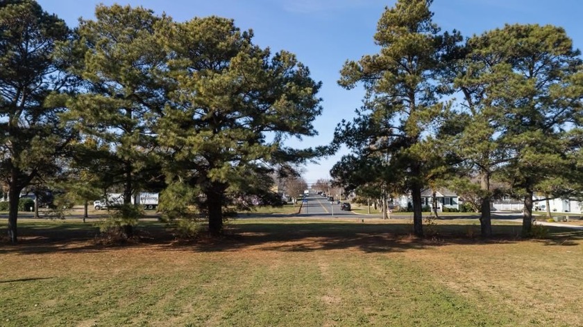 This highly desirable homesite is situated on Fig Street in - Beach Lot for sale in Cape Charles, Virginia on Beachhouse.com