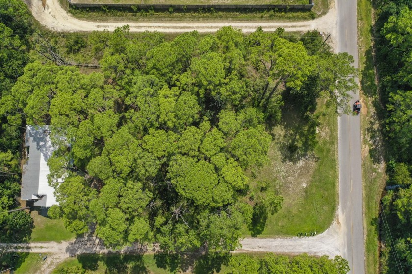 Beautiful partially cleared and flat residential lot in a quiet - Beach Lot for sale in Santa Rosa Beach, Florida on Beachhouse.com