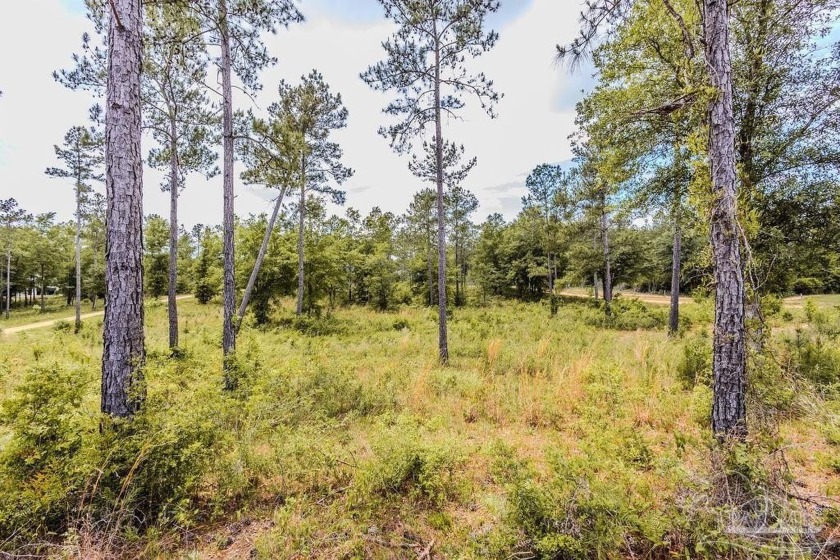 **Rare 2.15-Acre Wooded Retreat - Pace, FL**  Tucked away on one - Beach Acreage for sale in Pace, Florida on Beachhouse.com