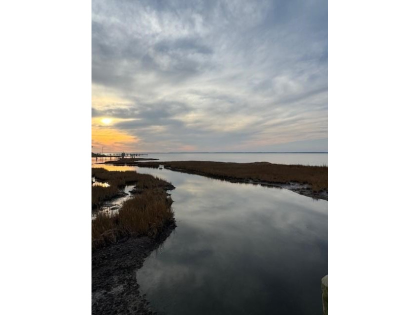 Privacy. Gorgeous expansive views. A wild natural landscape - Beach Acreage for sale in Chincoteague Island, Virginia on Beachhouse.com