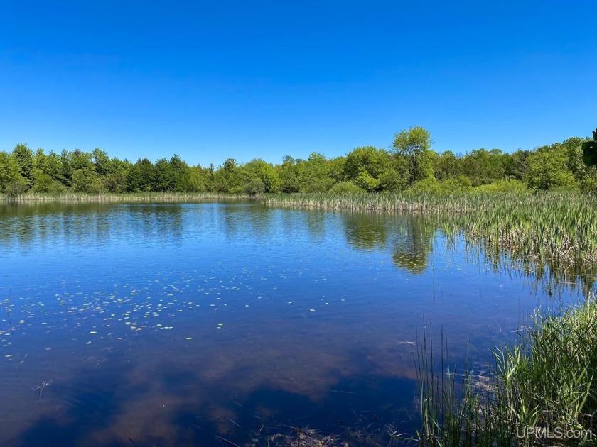 This stunning property features an impressive 1.5 +/- acre pond - Beach Acreage for sale in L Anse, Michigan on Beachhouse.com