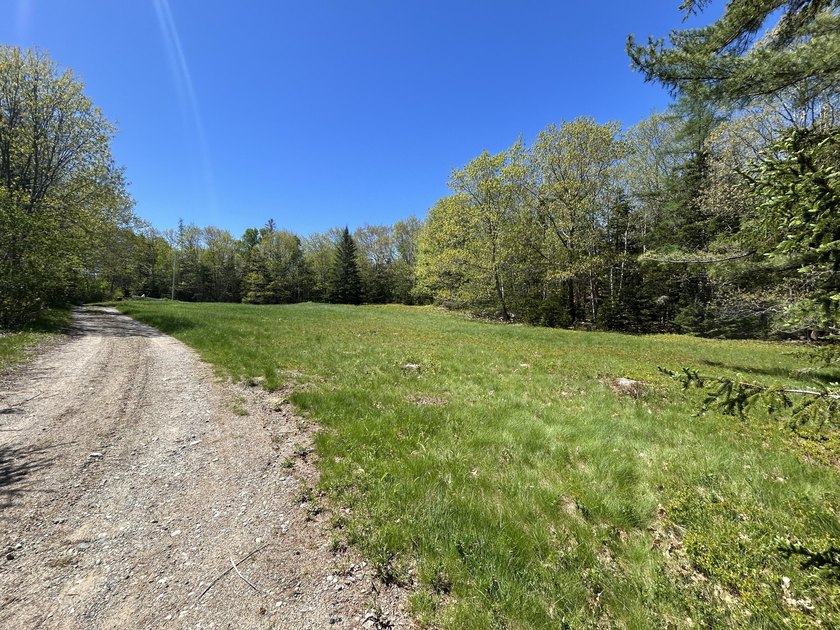 More than just a lot, this beautiful 4 acres already has the - Beach Acreage for sale in Gouldsboro, Maine on Beachhouse.com