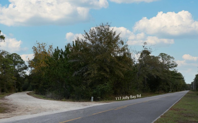 NO HOA or RESTRICTIONS!!! This beautifully wooded lot of approx - Beach Lot for sale in Freeport, Florida on Beachhouse.com