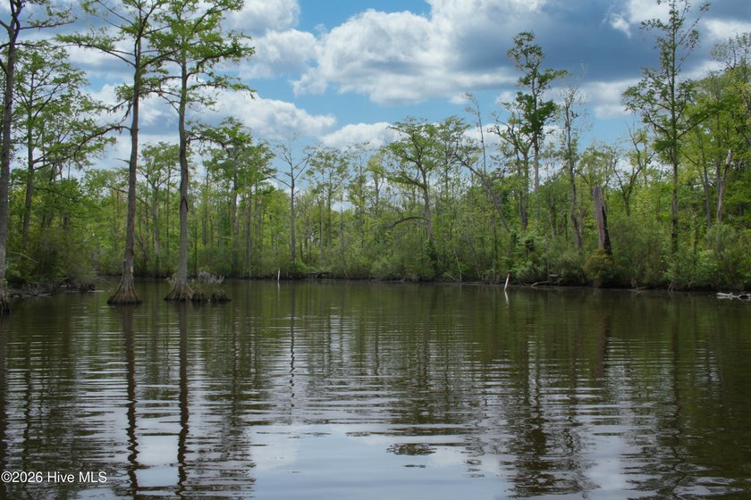 WATERFRONT! At a reasonable price!! This large waterfront - Beach Lot for sale in Hertford, North Carolina on Beachhouse.com