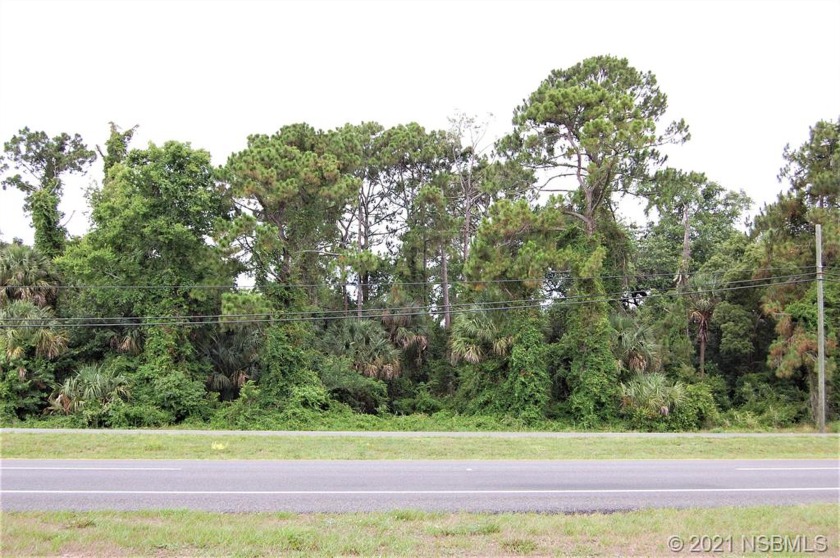 Great potential for this commercial parcel with approximately - Beach Lot for sale in Edgewater, Florida on Beachhouse.com