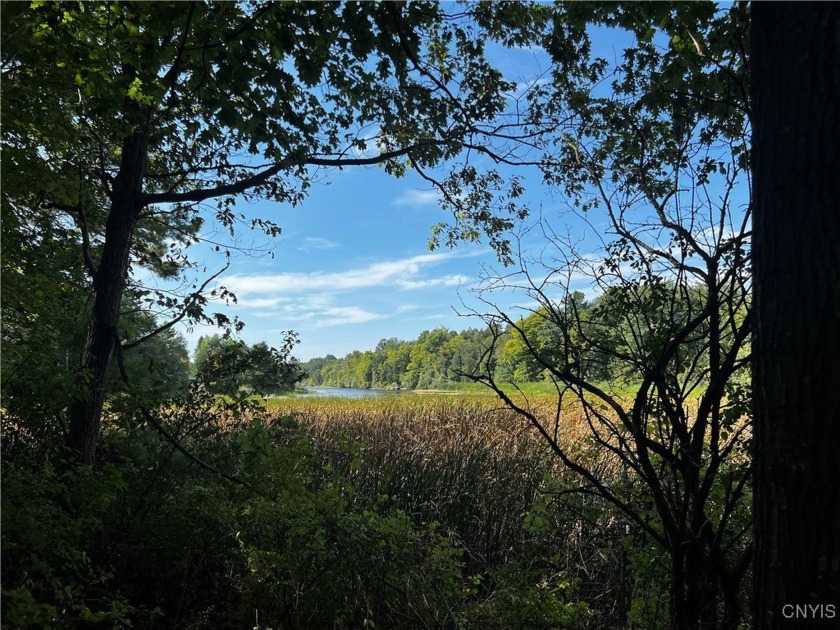 Enjoy this wooded lot with a serene setting perfect for - Beach Lot for sale in Lyme, New York on Beachhouse.com