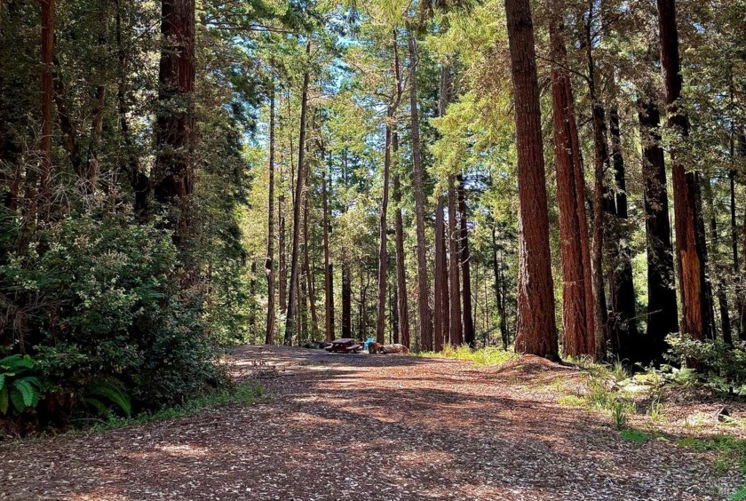 Discover this rare and secluded parcel at the end of a private - Beach Lot for sale in Jenner, California on Beachhouse.com